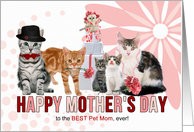 From the Cats on Mother’s Day Cats in Pink and Red card