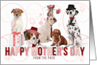 For Mom on Mother’s Day from the Pack Dogs in Pink and Red card