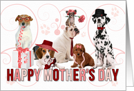 Happy Mother’s Day for Dog Lover in Pink and Red card