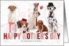 For Grandmother on Mother’s Day Dog Lover Pink and Red card