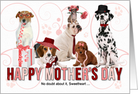 For Wife on Mother’s Day Dog Lover Pink and Red card