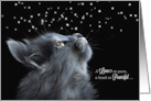 Pet Sympathy Loss of a Cat Gray Cat Photograph card