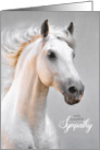 Pet Sympathy Loss of a Horse White Horse on Gray card