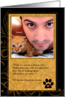 Memorial Service Invitation for Cat Lover in Gold and Black card