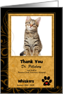 Veterinarian Thank You in Black and Gold with Cat’s Photo Blank card