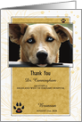 Veterinarian Thank You in Golden Yellow and White Pet’s Photo Blank card
