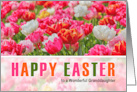 for Granddaughter on Easter Pink Tulip Garden card