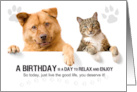 Pet Sitter Birthday Cute Dog and Cat on White card