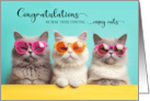 Congratulations Expecting Triplets Three Cats B/W Photograph card