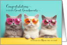 Triplet Congratulations New Great Grandparents Funny Cats card