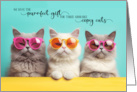 A Gift for Triplets Three Cute Cats in Colorful Sunglasses card