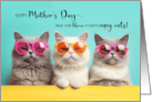 from Triplets on Mother’s Day Three Cute Cats in Sunglasses card