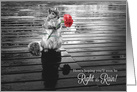 Get Well Squirrel with Carnation Black and White card