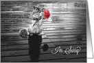 I’m Sorry Squirrel with Carnation Black and White card