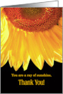 Thank You Sunflower Ray of Sunshine card