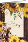 Apology Country Western Cowgirl with Sunflower and Barn Wood card