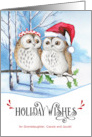 Granddaughter and Husband Holiday Wishes Woodland Owls Custom card