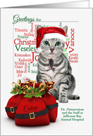 from the Veterinarian Christmas Tabby Cat and Mouse card