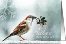 Christmas Sparrow Holly and Snow Wild Song Bird card