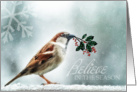 Business Christmas Sparrow Holly and Snow card