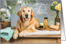 Custom Thank You Spa Professional Golden Retriever Dog card