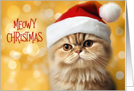 Christmas Orange Tabby Cat in a Santa Hat card