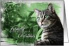 from the Cat Christmas Silver Tabby Cat with Green Background card