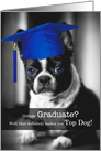 College Graduate Congratulations Boston Terrier Dog card