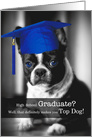 High School Graduate Congratulations Boston Terrier Dog card