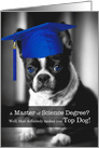 Master of Science Degree Graduate Boston Terrier Dog card