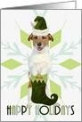 Jack Russell Terrier Dog Green Santa Hat & Stocking Custom card