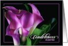 from Group Condolences Purple Calla Lily on Black Botanical card