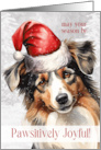 for Pet Sitter Pawsitively Joyful Australian Shepherd Santa card