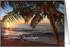 Season’s Greetings Tropical Beach Island Palm Tree Scene card