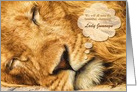 Sympathy Zoo Animal Loss Painted African Lion card