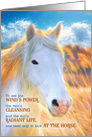 Loss of a Horse Pet Sympathy Painted White Pony with Golden Mane card