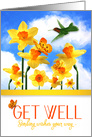 Get Well Daffodil Garden with Hummingbird card