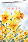 New Job Congratulations Bright Daffodil Garden card
