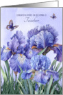 Becoming a Teacher Congratulations with a Purple Iris Garden card