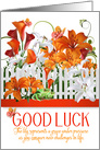 Good Luck Lily Garden with Frog and Butterflies card