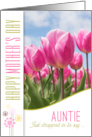 for Aunt on Mother’s Day Pink Tulip Garden card