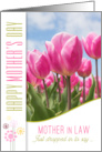 for Mother in Law on Mother’s Day Pink Tulip Garden card