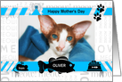 from the Cat Fun Mother’s Day Blue and Black with Pet’s Photo card