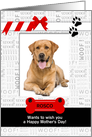 from the Dog Fun Mother’s Day Red and Black with Pet’s Photo card