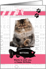 from the Cat Fun Birthday Pink and Black with Pet’s Photo card