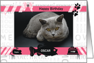 from the Cat Fun Birthday Pink and Black with Pet’s Photo card
