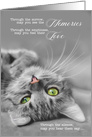 Loss of a Cat Pet Sympathy Silver Tabby Cat Sentimental card