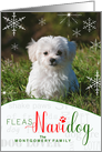 Fleas NaviDOG Funny Dog Lover Christmas Photo with Custom Text card