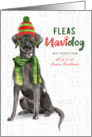 Black Lab Funny Fleas Navidog Christmas in Red and Green Custom card