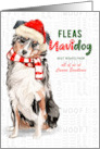 Australian Shepherd Funny Fleas Navidog Christmas Custom card